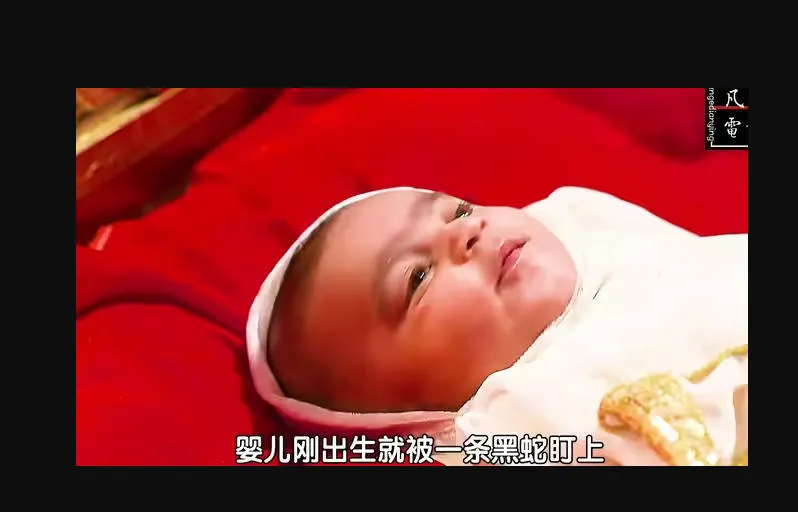 虚荣的篝火