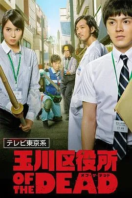赢钱专家